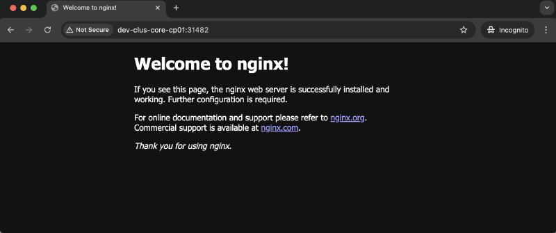 Viewing the default nginx start page