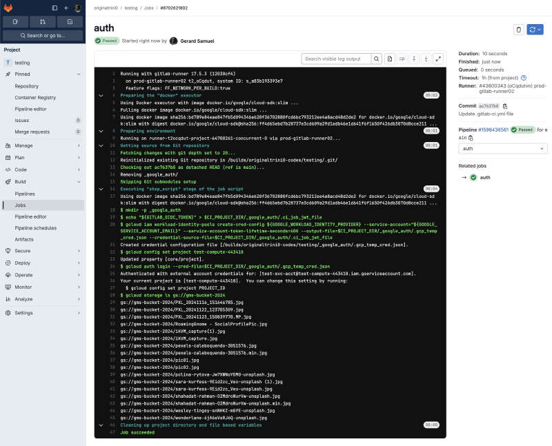 Gitlab pipeline results