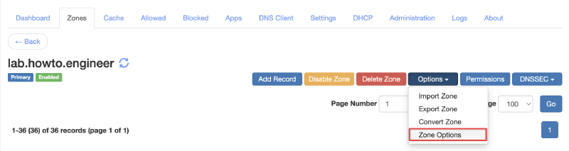 Technitium DNS Zone Options menu