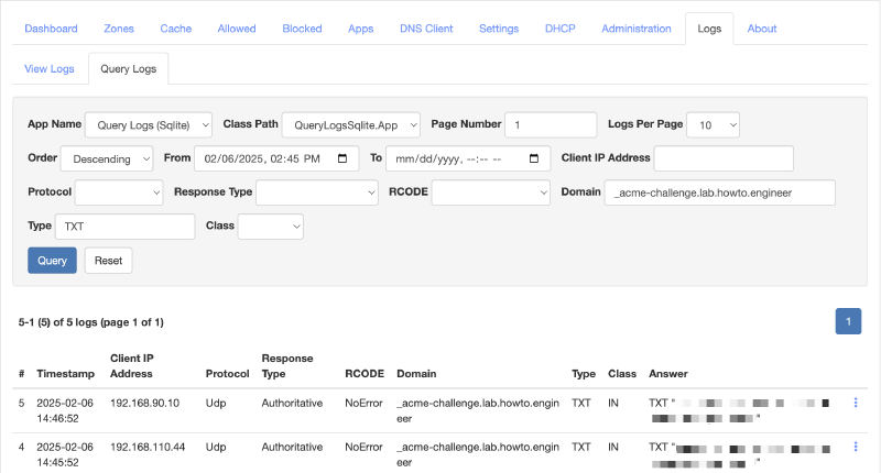 Technitium DNS Logs