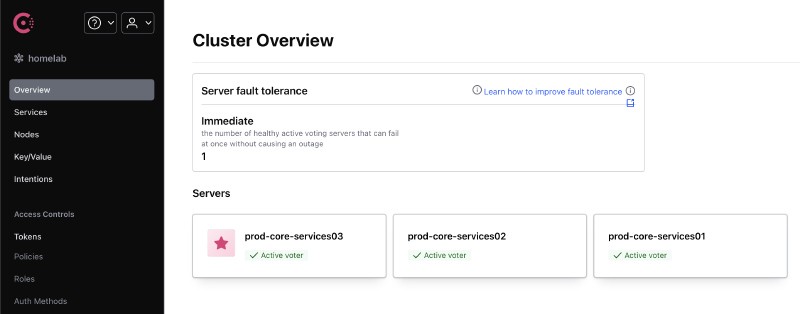 Consul Homepage
